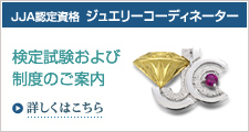 JJA�F�莑�i�W���G���[�R�[�f�B�l�[�^�[ ���莎������ѐ��x�̂��ē�